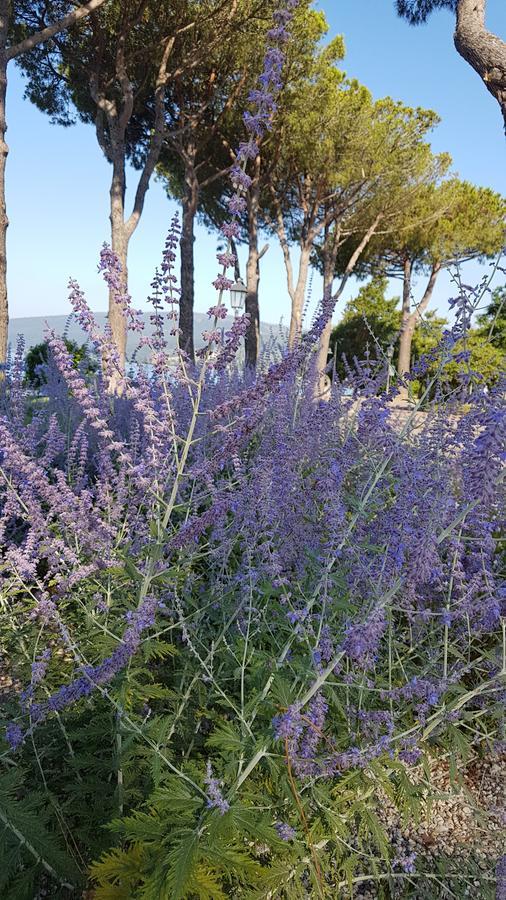 La Colombaia Nel Castello Apartment Bracciano  Ngoại thất bức ảnh